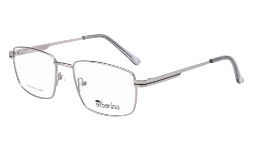 Baniss BR6066