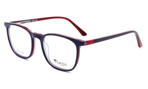Baniss BS8084 Baniss BS8084