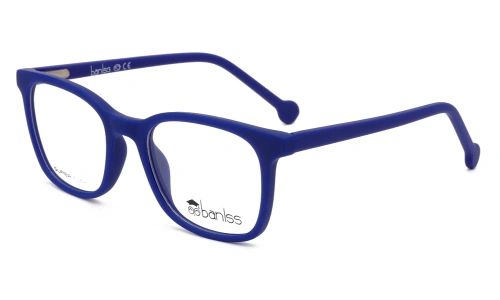 Baniss BSJ6094