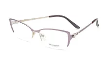 Discoverer 870