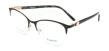 Traveler 012