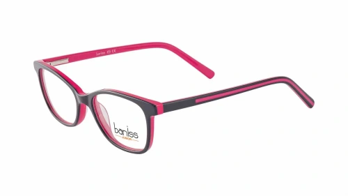 Baniss BSJ5110 Baniss BSJ5110